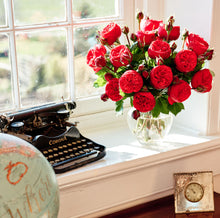 Load image into Gallery viewer, Scentifolia Roses Variety: Piano in vase next to antique typewriter
