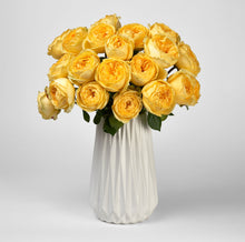 Load image into Gallery viewer, Scentifolia Roses Variety: Catalina in Vase
