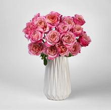 Load image into Gallery viewer, Scentifolia Roses Variety: Miyabi in vase
