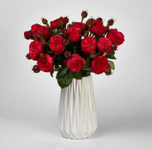 Load image into Gallery viewer, Scentifolia Roses Variety: Piano in vase
