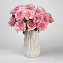 Load image into Gallery viewer, Scentifolia Roses Variety: Pink O&#39;Hara in vase
