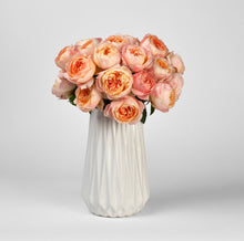 Load image into Gallery viewer, Scentifolia Roses Variety: Princess Aiko in vase
