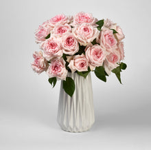 Load image into Gallery viewer, Scentifolia Roses Variety: Princess Hitomi in vase

