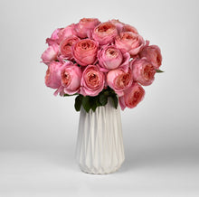 Load image into Gallery viewer, Scentifolia Roses Variety: Romantic Antike in vase
