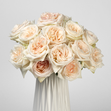 Load image into Gallery viewer, WHITE O&#39;HARA (Fragrant)
