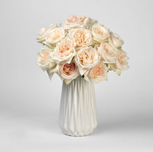 Load image into Gallery viewer, Scentifolia Roses Variety: White O&#39;Hara in vase
